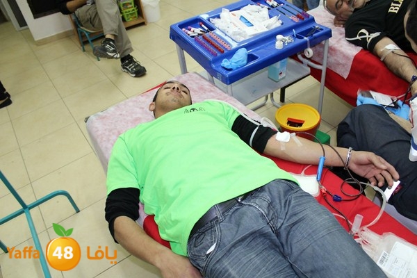 dam kenan0331 (4).jpg